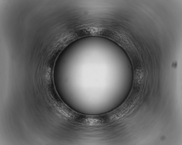 X0000100960650200807011334