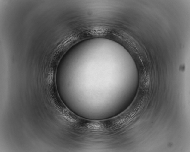 X0000100960652200807011334