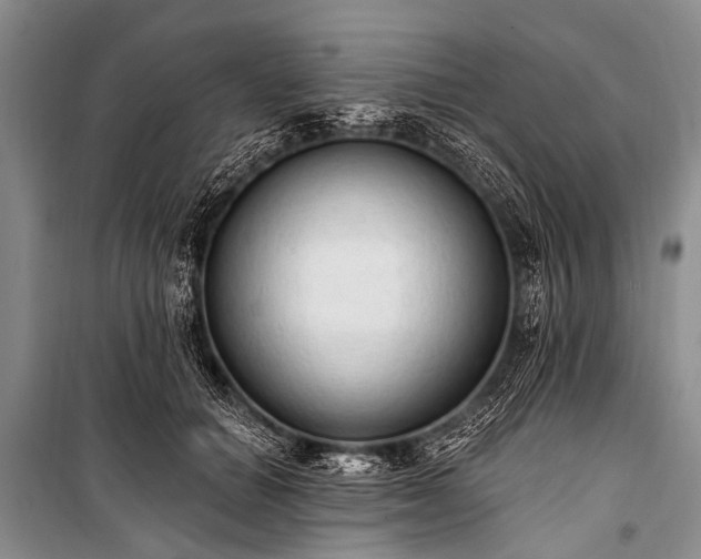 X0000100960654200807011334