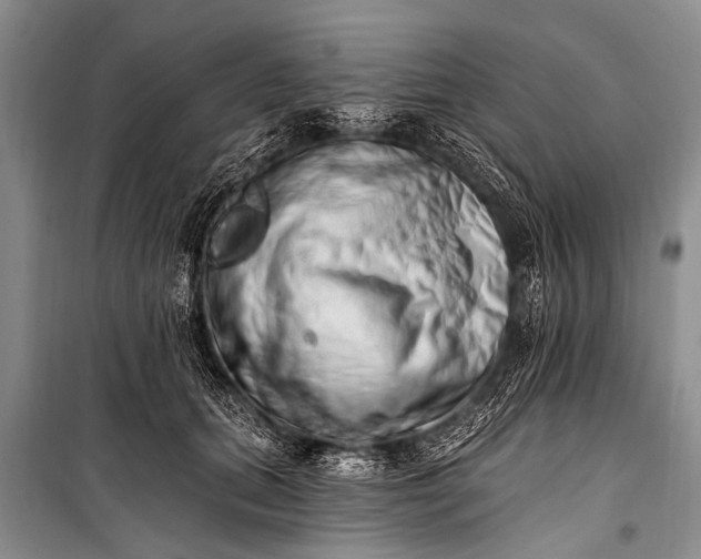 X0000100960655200807011334