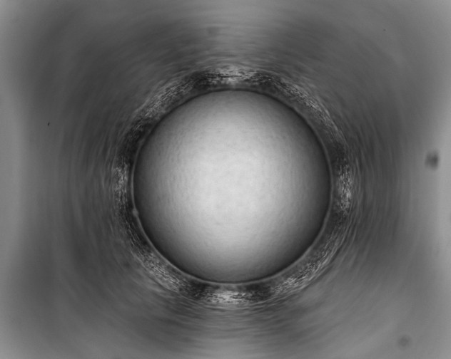 X0000100960657200807011334