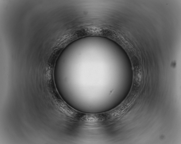 X0000100960658200807011334