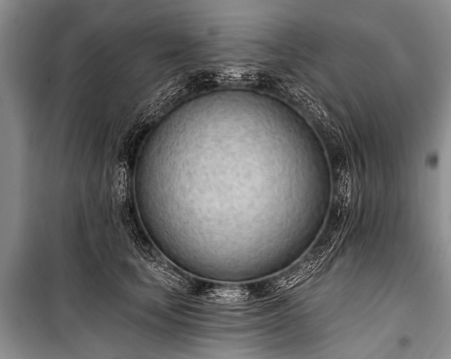 X0000100960659200807011334