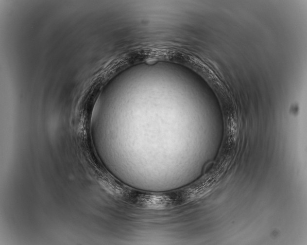 X0000100960663200807011334
