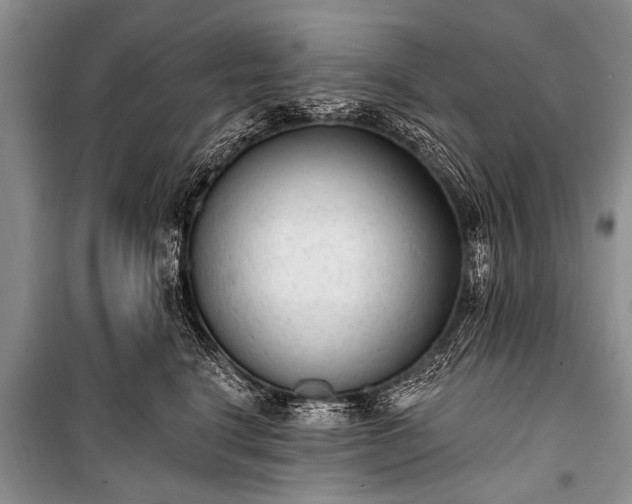 X0000100960664200807011334