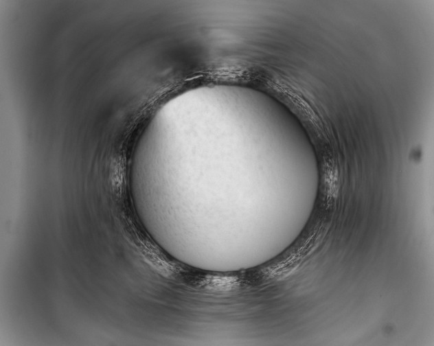 X0000100960665200807011334