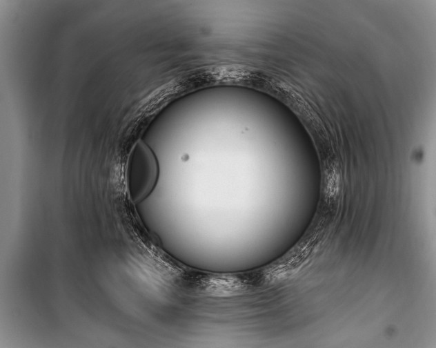 X0000100960666200807011334
