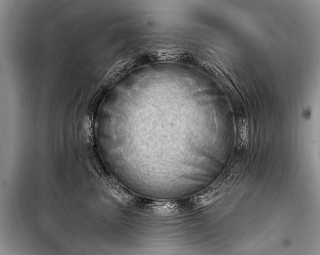 X0000100960667200807011334