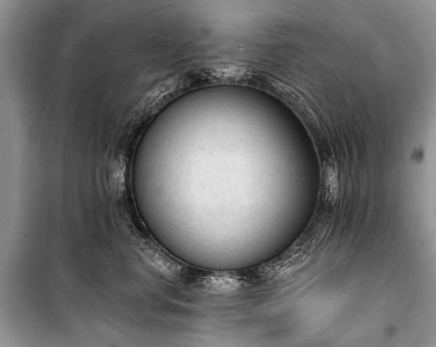 X0000100960668200807011334