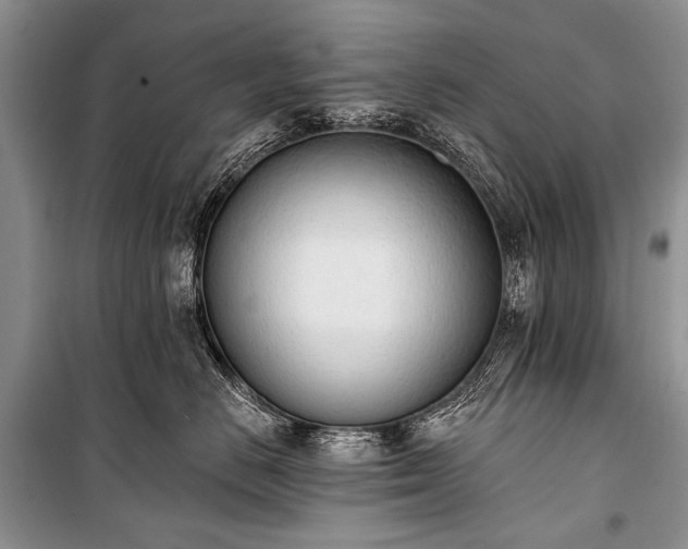 X0000100960670200807011334