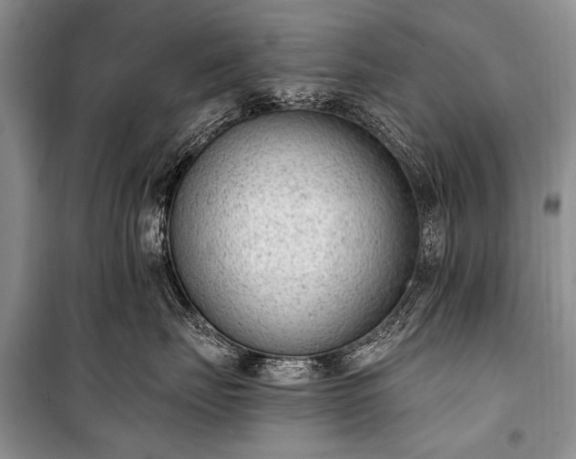 X0000100960671200807011334