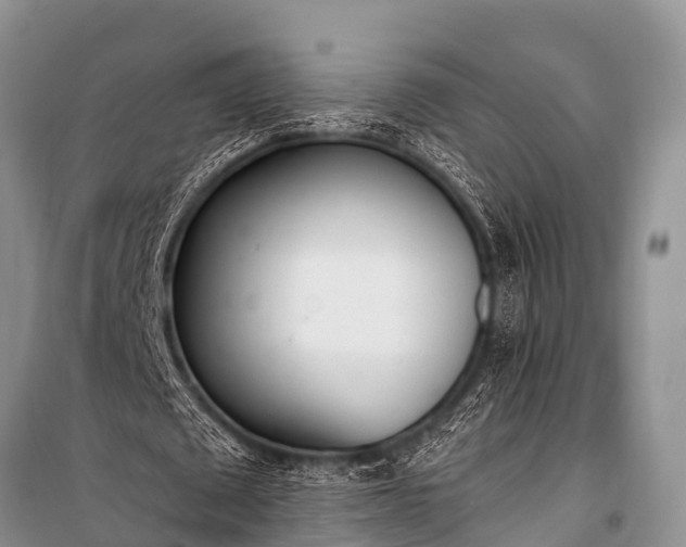 X0000100960673200807011333