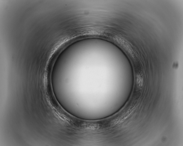 X0000100960676200807011333