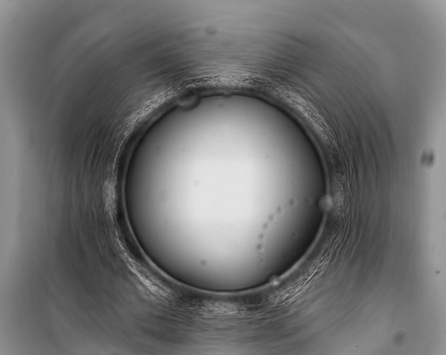 X0000100960677200807011333