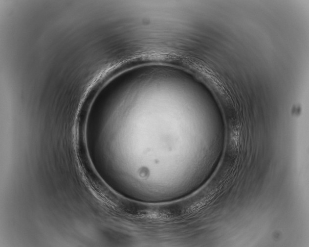 X0000100960678200807011333