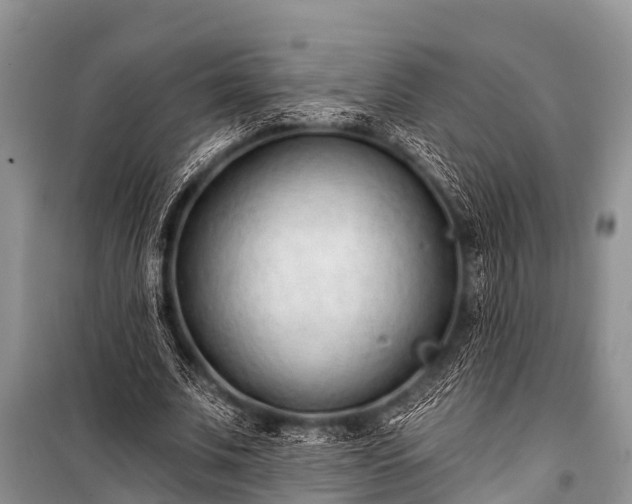 X0000100960679200807011333