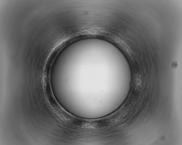 X0000100960680200807011333