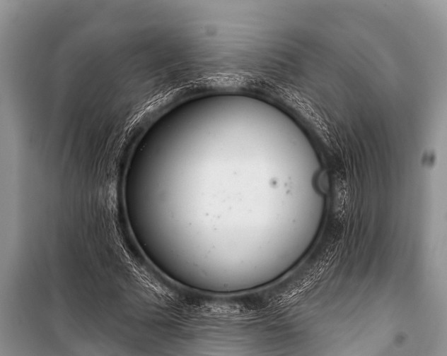 X0000100960681200807011333