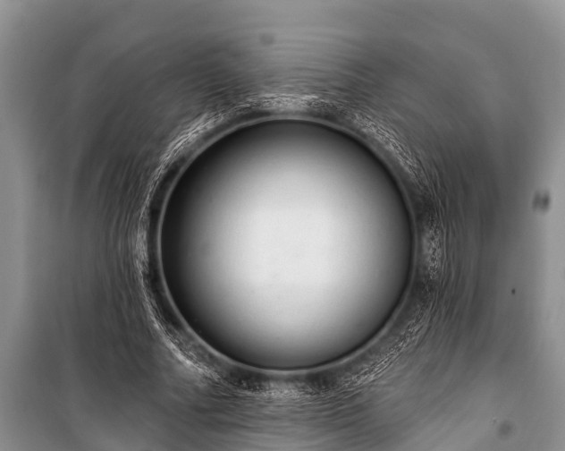 X0000100960682200807011333