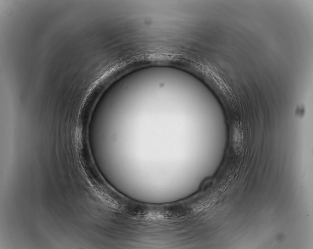 X0000100960684200807011333