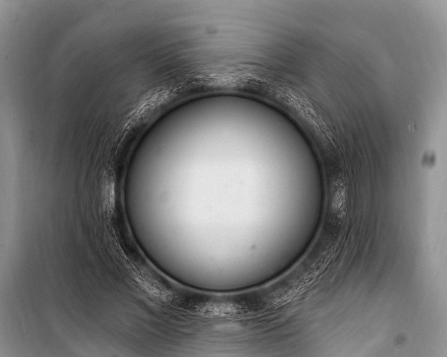 X0000100960685200807011333
