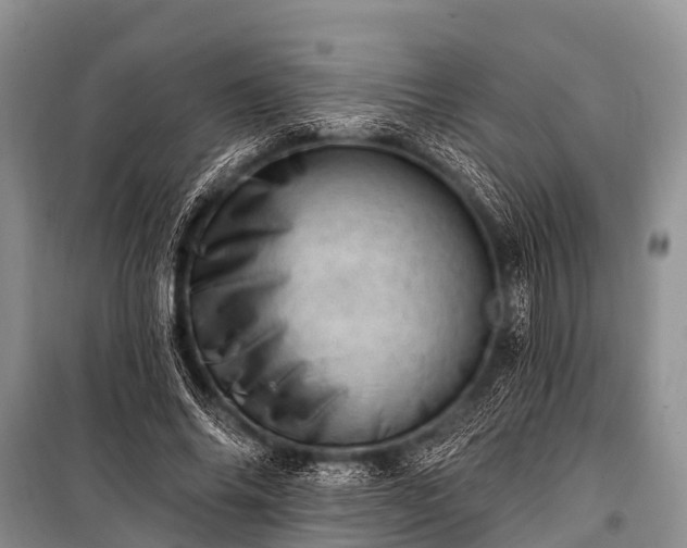X0000100960686200807011333
