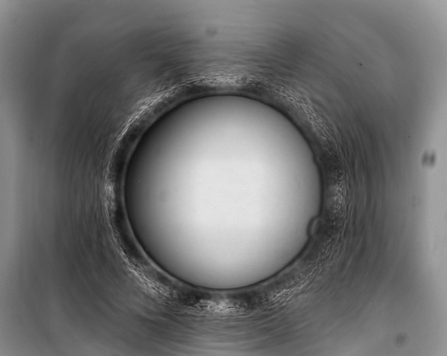 X0000100960688200807011333