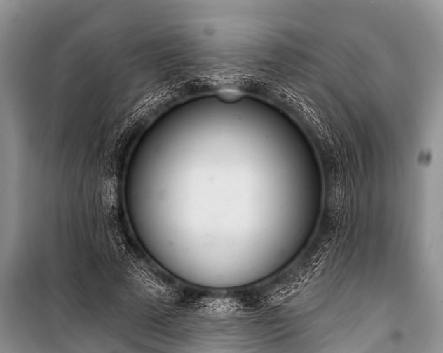 X0000100960689200807011333