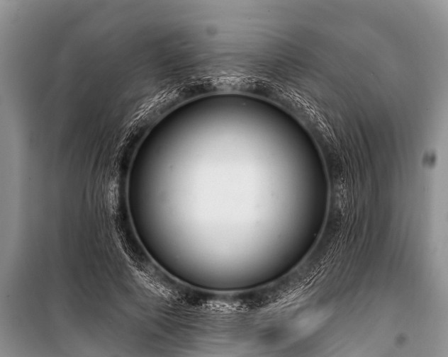 X0000100960690200807011333