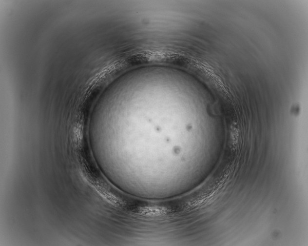 X0000100960691200807011333