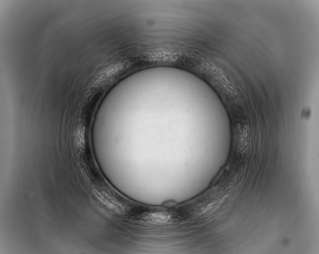 X0000100960692200807011333