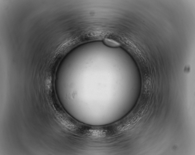 X0000100960693200807011333