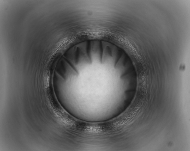 X0000100960694200807011333