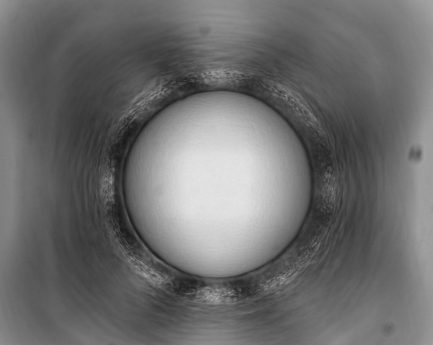 X0000100960696200807011333