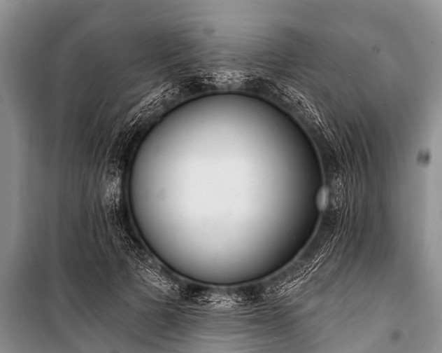 X0000100960697200807011333