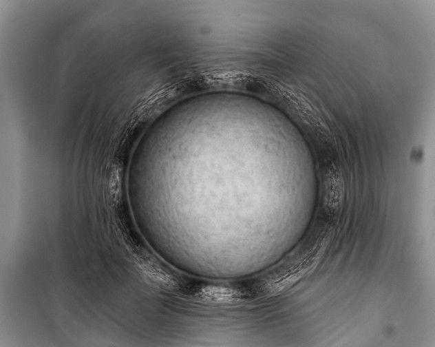 X0000100960699200807011333