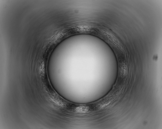 X0000100960700200807011333