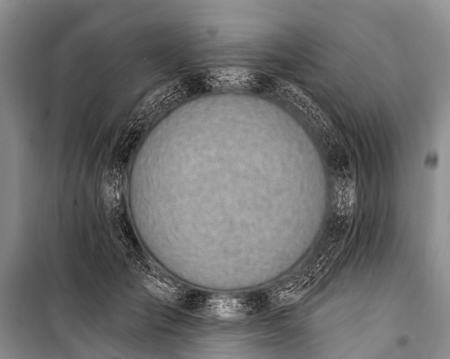 X0000100960701200807011333