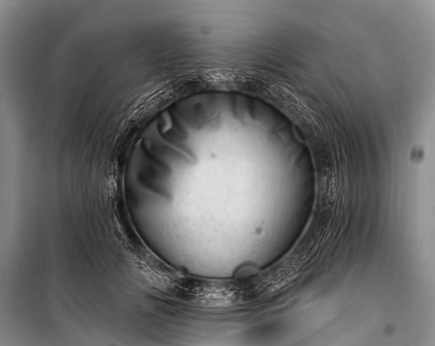 X0000100960702200807011333