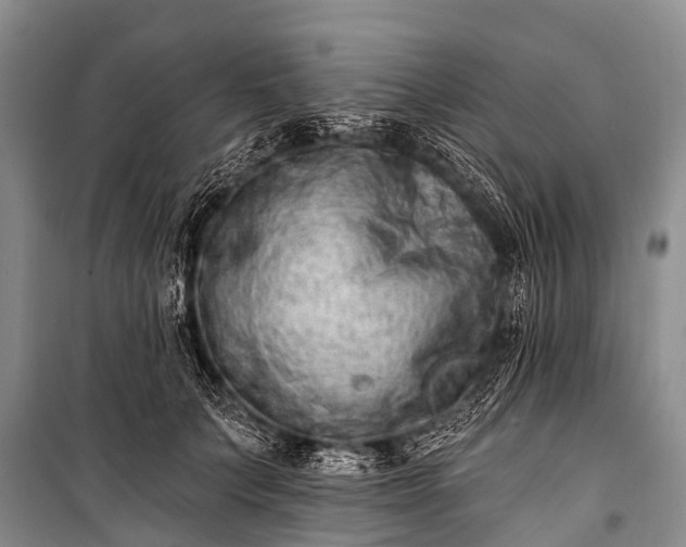 X0000100960703200807011333