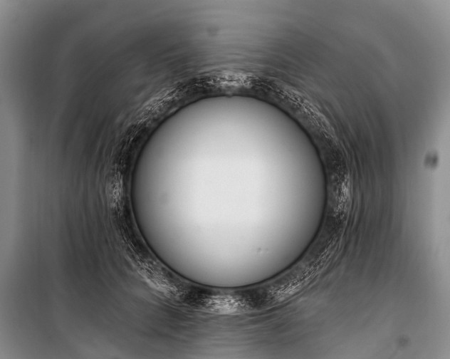 X0000100960704200807011333