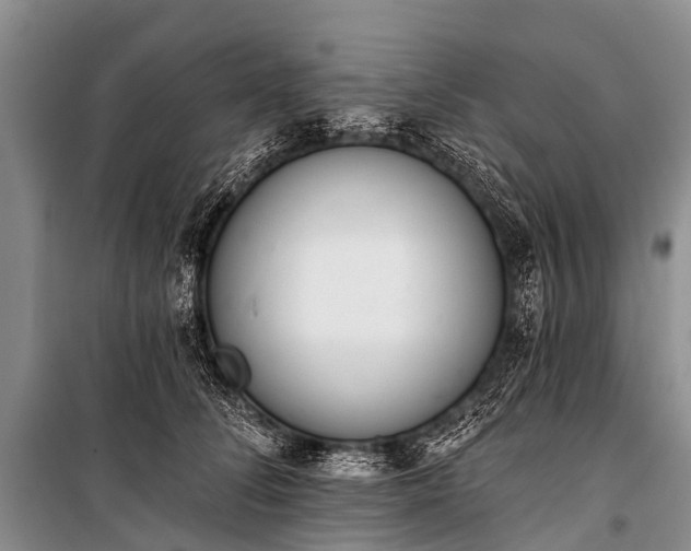 X0000100960708200807011333