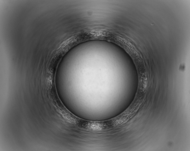 X0000100960710200807011333