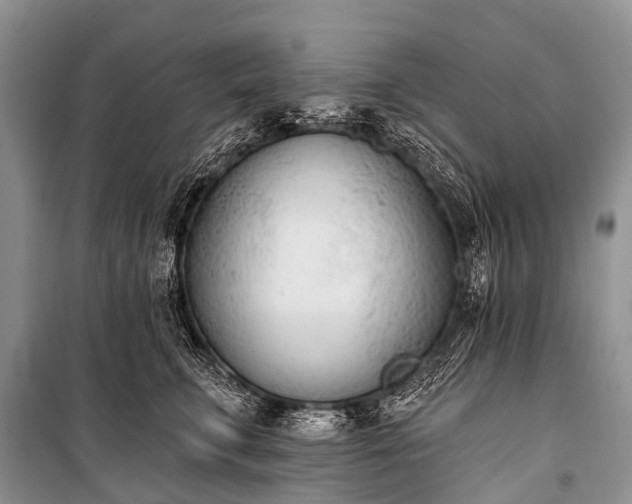 X0000100960711200807011333