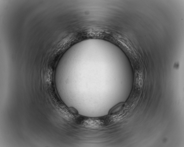 X0000100960712200807011333