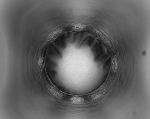 X0000100960714200807011333
