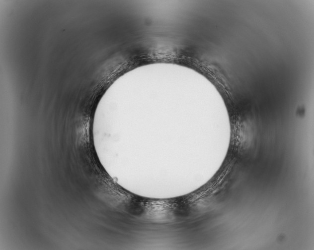 X0000100960717200807011332