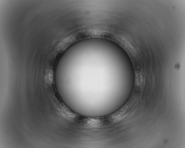 X0000100960718200807011332