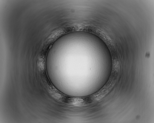 X0000100960719200807011332