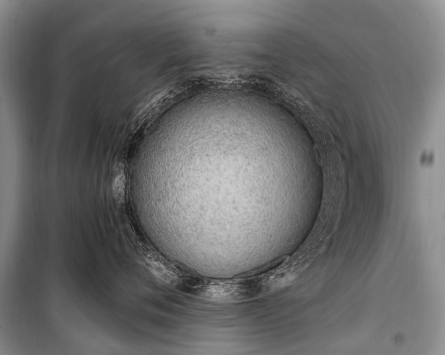 X0000100960720200807011332